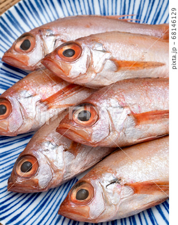 のどぐろの干物 のどぐろの干物 68146129