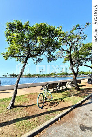 ハワイの休日 ハワイの休日 68146856