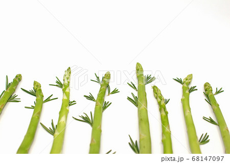 葉 野菜 アスパラガスの写真素材 葉 野菜 アスパラガスの写真素材