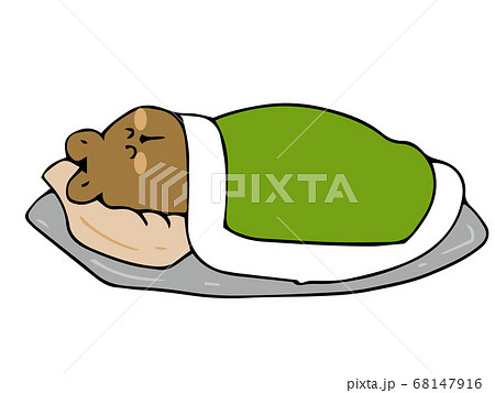 眠るクマ 68147916