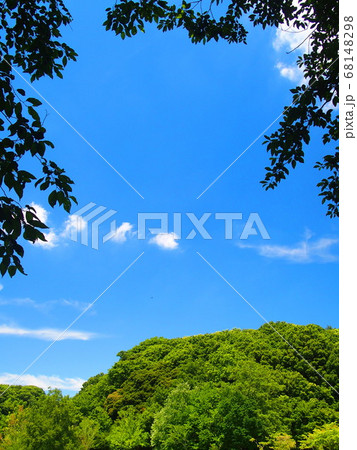初夏の里山の森と青田風景 初夏の里山の森と青田風景 68148298