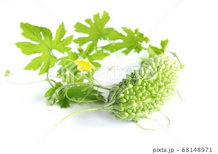 Bitter melon or bitter gourd with leaves isolated 68148971