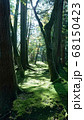 苔のトンネル 68150423