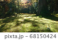 苔のじゅうたん 68150424