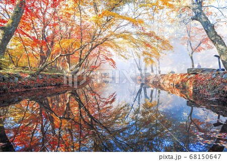 秋 紅葉 小川 68150647
