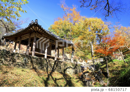 秋 瀟灑園 紅葉 68150717