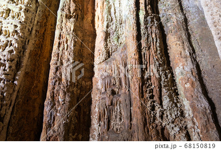 秋芳洞 山口県美祢市 秋芳洞 山口県美祢市 68150819