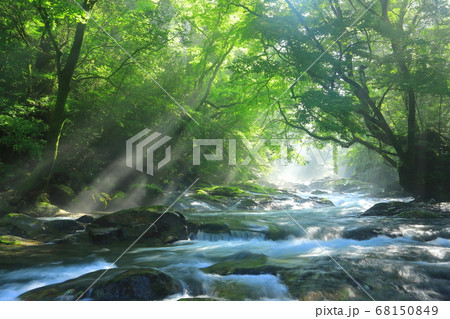 菊池渓谷の光芒 菊池渓谷の光芒 68150849