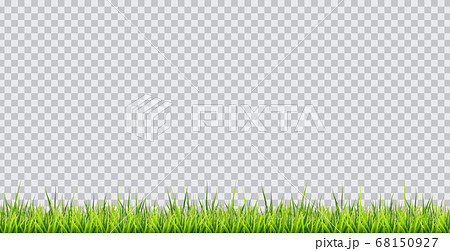 Grass border. Vector illustration on transparent 68150927