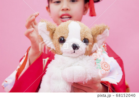 犬のぬいぐるみを持つ女児の写真素材