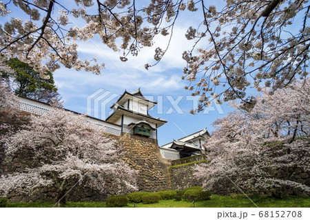 春の金沢旅行　桜咲く金沢城公園 68152708