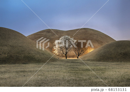 風景 古墳群 古墳 68153131