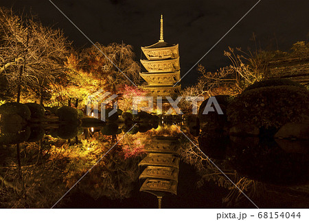 東寺のライトアップ 京都の紅葉の名所 紅葉と五重塔の夜景 秋の京都観光スポットの写真素材