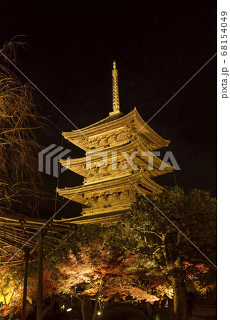 東寺のライトアップ 京都の紅葉の名所 紅葉と五重塔の夜景 秋の京都観光スポットの写真素材