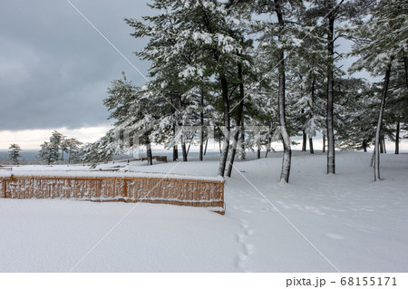 鳥取砂丘 の雪景色 68155171