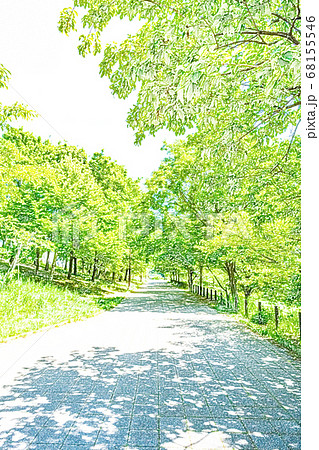 新緑 森の散策路 色鉛筆 のイラスト素材