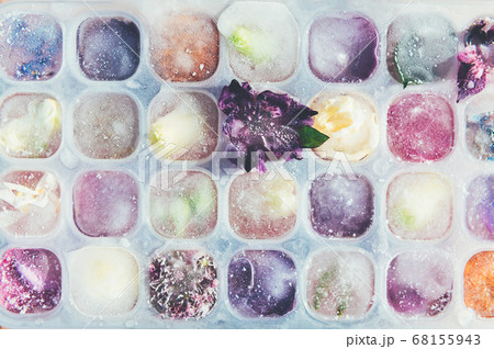 Frozen Flowers in Ice Cubes 68155943