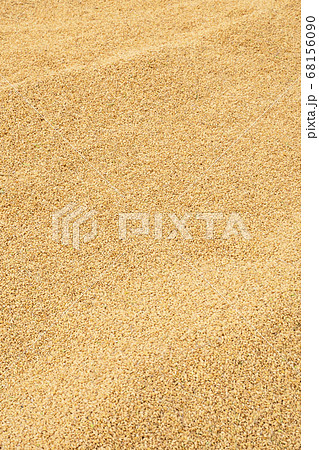 ごはん イネ 米 68156090