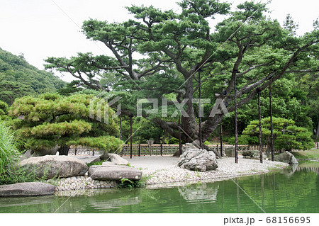 栗林公園掬月亭の五葉松の景色 68156695