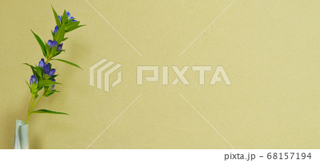 リンドウと和室の壁（コピースペース） 68157194