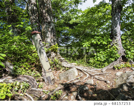 火打山の登山道「十二曲り」 68157253