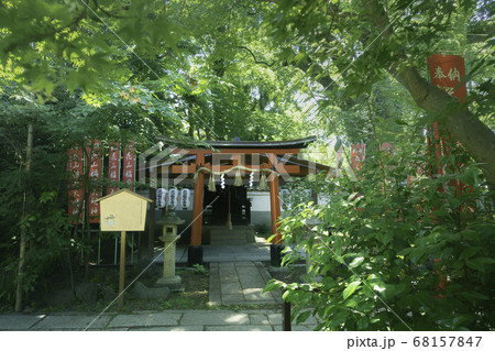 京都御苑にある宗像神社の境内社 花山稲荷大明神と新緑の風景です の写真素材