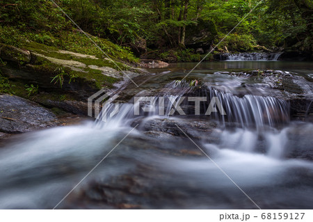 夏の白倉川源流 夏の白倉川源流 68159127