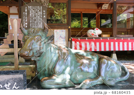 登米市柳津虚空蔵尊のなで丑（宮城） 68160435