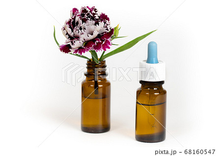 carnation oil in brown bottles 68160547
