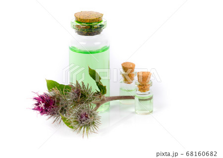 burdock essential oil with flowers, isolated on burdock essential oil with flowers, isolated on 68160682