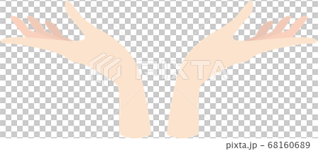 hand  68160689