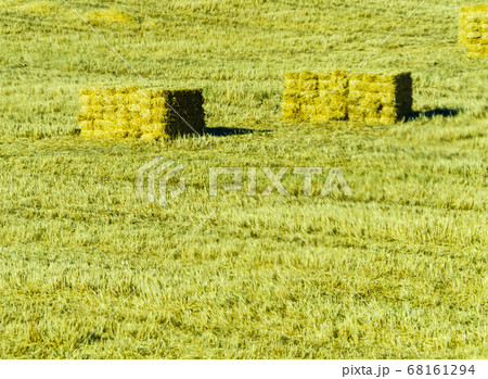Square straw bales in stubbly field in the region Square straw bales in stubbly field in the region 68161294