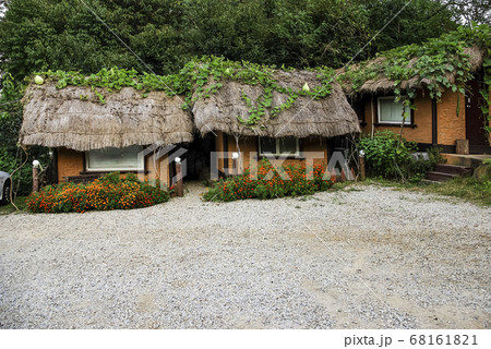 住宅 家 花 68161821