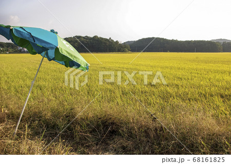 風景 秋 農業 68161825
