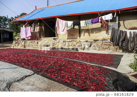 洗濯 乾燥 江華島 68161829