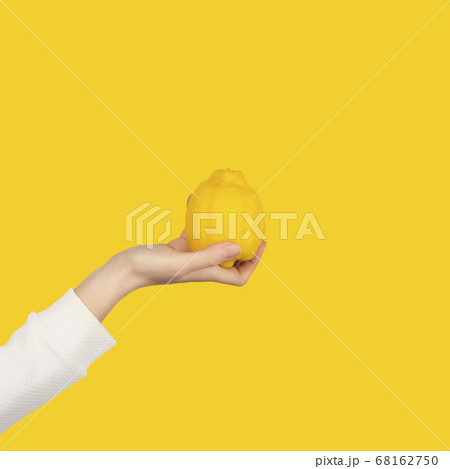 Female hand holds big bright lemon fruit isolated 68162750