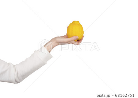 Female hand holds big bright lemon fruit isolated Female hand holds big bright lemon fruit isolated 68162751