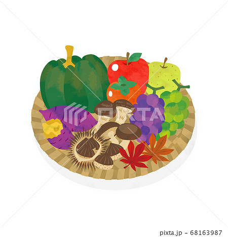 秋に収穫した野菜と果物のイラスト素材のイラスト素材