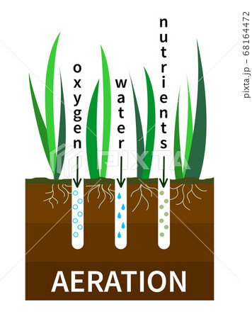 Lawn aeration process vector illustration. Concept of lawn grass care, gardening service, benefits of aeration. Water, air and fertilizer having easy access to soil Lawn aeration process vector illustration. Concept of lawn grass care, gardening service, benefits of aeration. Water, air and fertilizer having easy access to soil 68164472