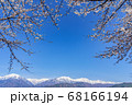 【長野県】残雪の北アルプスと桜　大町市 68166194