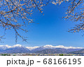【長野県】残雪の北アルプスと桜　大町市 68166195