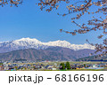 【長野県】残雪の北アルプスと桜　大町市 68166196