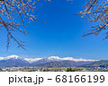 【長野県】残雪の北アルプスと桜　大町市 68166199