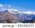 【長野県】残雪の北アルプスと桜　大町市 68166203
