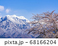 【長野県】残雪の北アルプスと桜　大町市 68166204