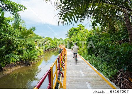 A young man cycles in Bang Krachao (Bang Kachao), along the moat and stilted pathway surrounded by lush tropical vegetation. Bang Krachao is known as the Green Lung of Bangkok. 68167007