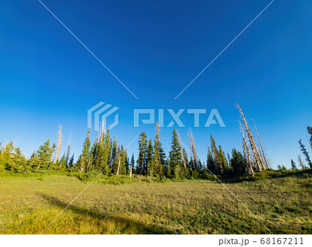 Beautiful landscape saw from Chessman Ridge Beautiful landscape saw from Chessman Ridge 68167211