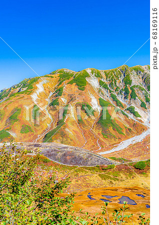 紅葉が綺麗な秋の室堂の絶景 富山県 の写真素材