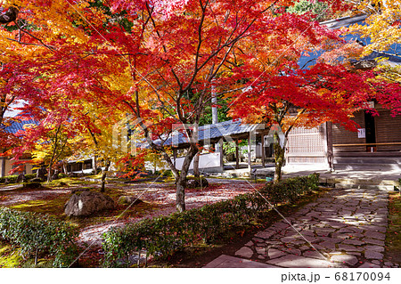 滋賀県 紅葉の美しい永源寺のお庭の写真素材