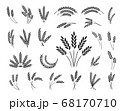 Set of wheat ear icons isolated on a white background, vector illustration. 68170710